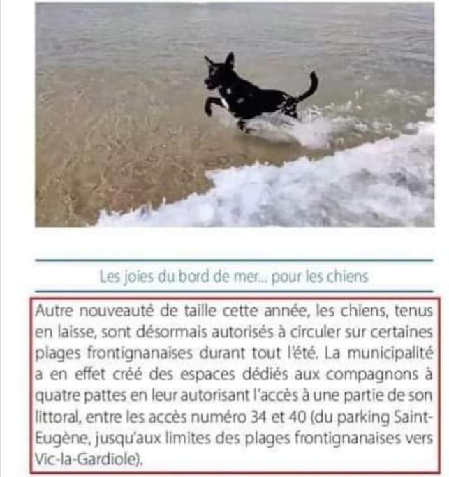 Appart 5P Terrasse Sud Vue Mer, Acces Direct Plage Frontignan Zewnętrze zdjęcie